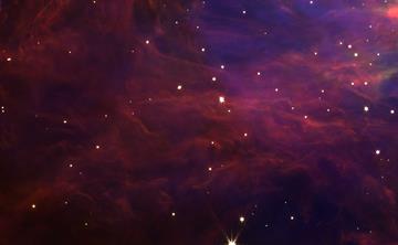 Picture of the Orion Nebula which looks like a large purple cloud dotted with stars.